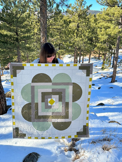 Rocky Mountain Lichen