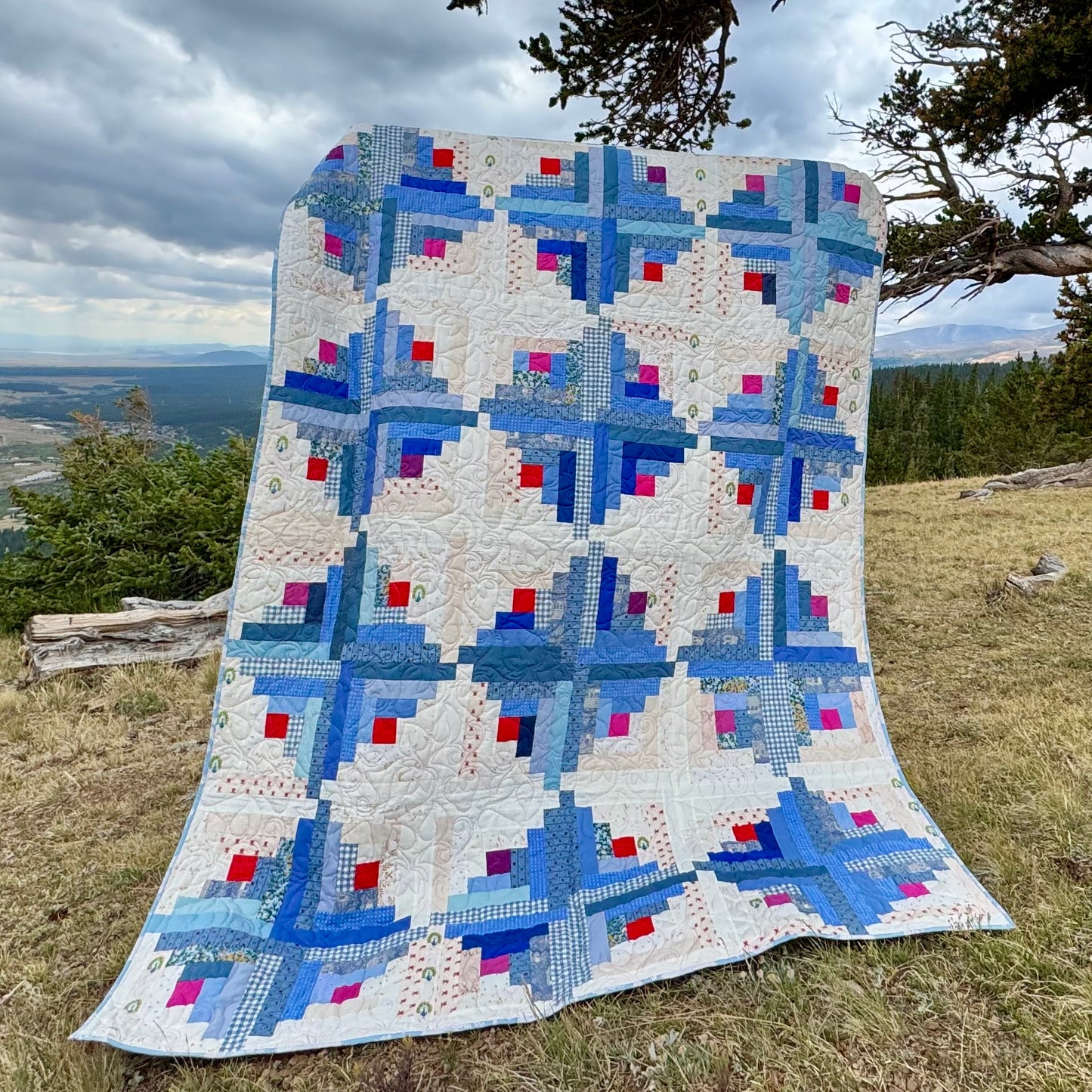 Sunshine and Shadows